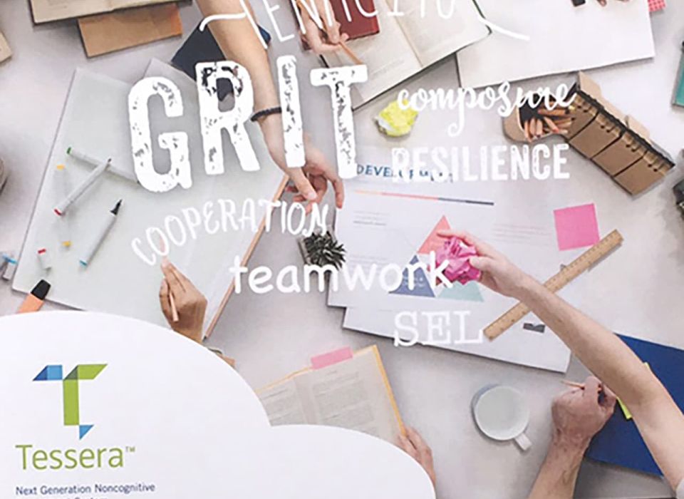 Tessera Teacher Playbook