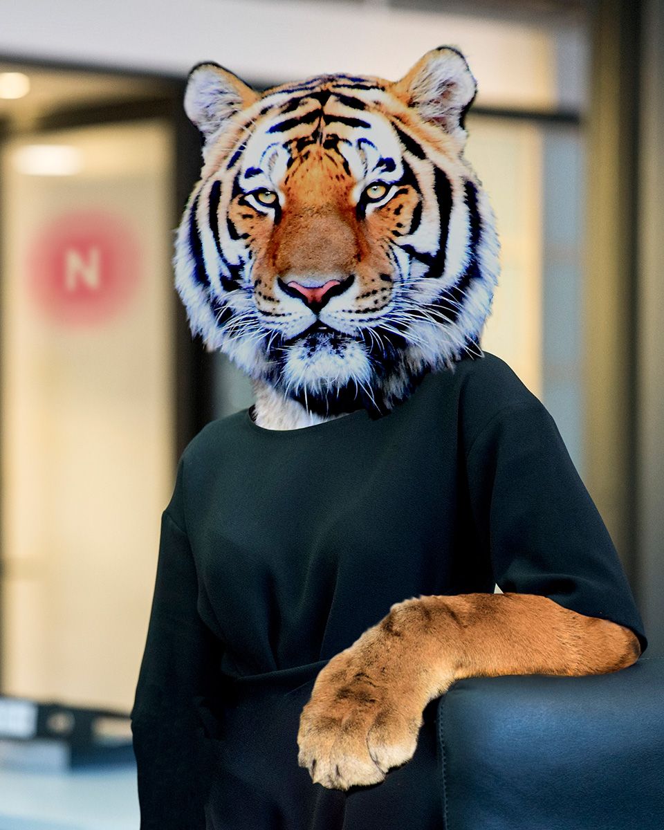 Neiger Tiger