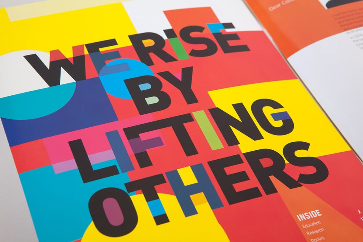 AAPF 2017 Annual Report